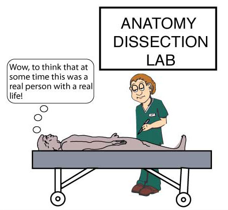 Anatomy Dissection Lab - Cadaver thinking